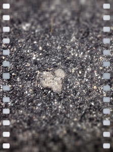 Title: "I am found in the cracks".  I often find hearts, rather they find me.  The romantic me likes that better. 